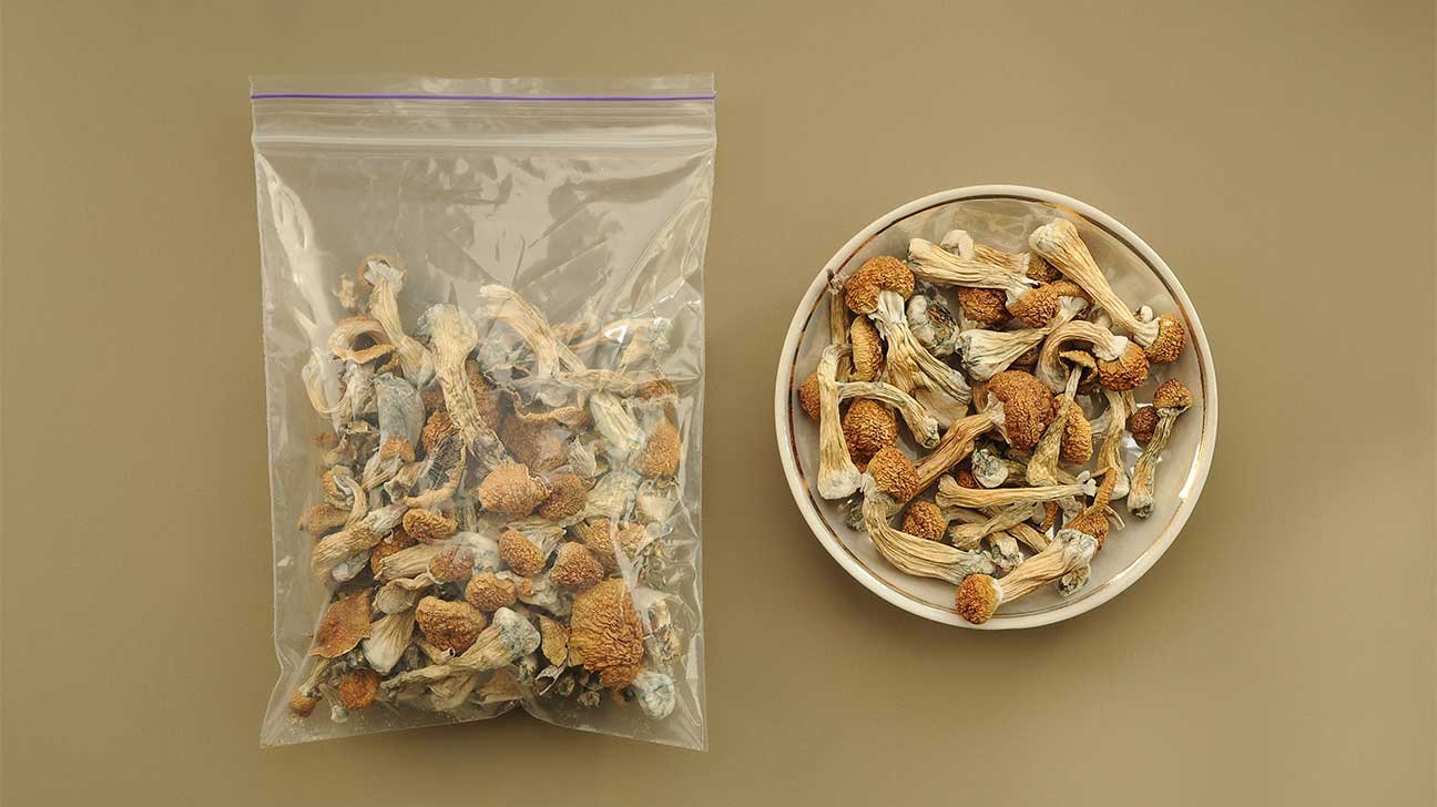 Psilocibin mushroom shop USA
