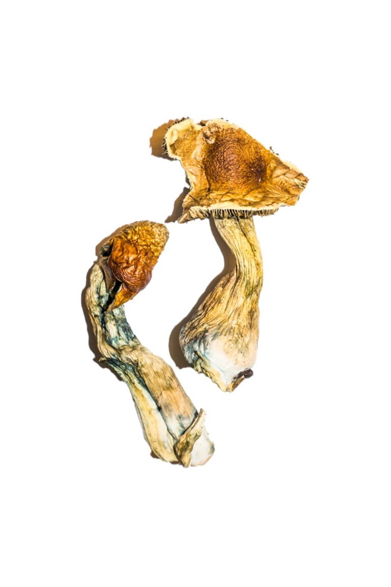 B-Magic-Mushroom-768x1152-1.jpg