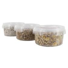 Magic Truffle Grow Kit
